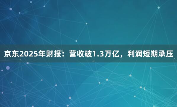 京东2025年财报：营收破1.3万亿，利润短期承压