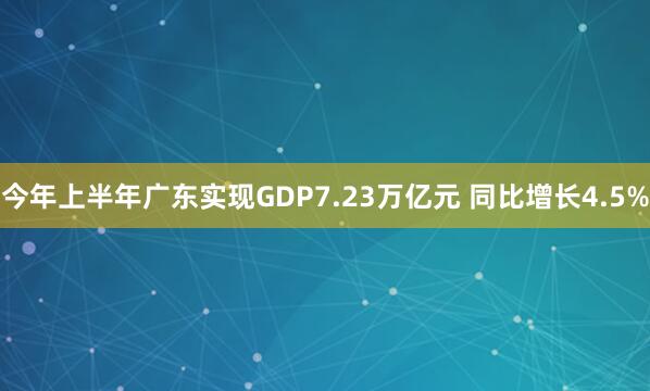 今年上半年广东实现GDP7.23万亿元 同比增长4.5%