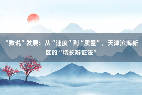 “数说”发展：从“速度”到“质量”，天津滨海新区的“增长辩证法”