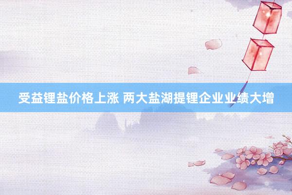 受益锂盐价格上涨 两大盐湖提锂企业业绩大增