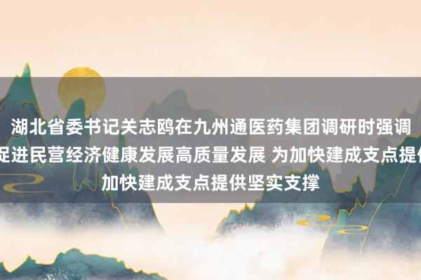 湖北省委书记关志鸥在九州通医药集团调研时强调 更大力度促进民营经济健康发展高质量发展 为加快建成支点提供坚实支撑