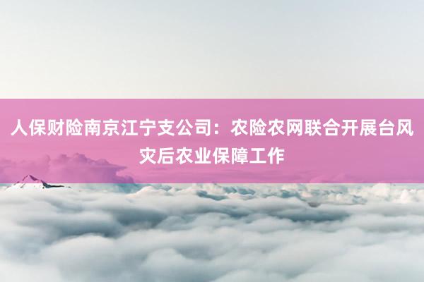 人保财险南京江宁支公司：农险农网联合开展台风灾后农业保障工作