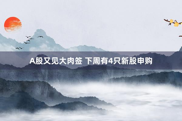 A股又见大肉签 下周有4只新股申购