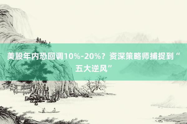 美股年内恐回调10%-20%？资深策略师捕捉到“五大逆风”