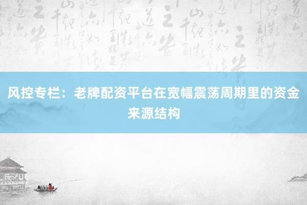 风控专栏：老牌配资平台在宽幅震荡周期里的资金来源结构