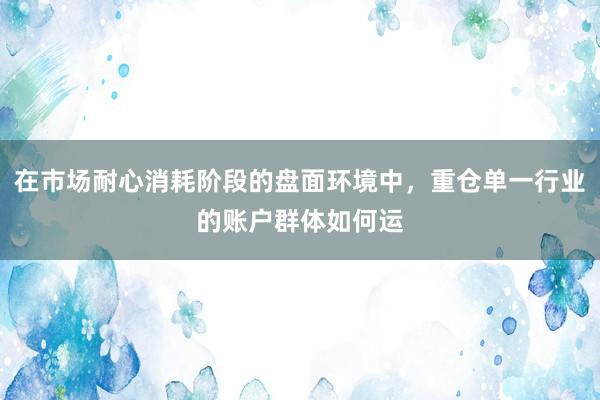 在市场耐心消耗阶段的盘面环境中，重仓单一行业的账户群体如何运