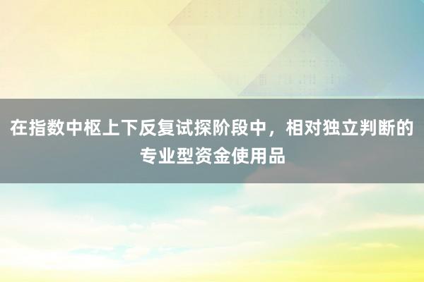 在指数中枢上下反复试探阶段中，相对独立判断的专业型资金使用品