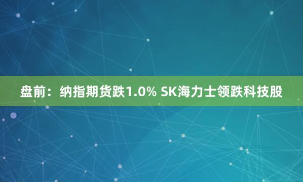盘前:纳指期货跌1.0% SK海力士领跌科技股