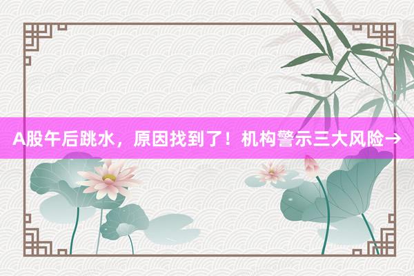 A股午后跳水，原因找到了！机构警示三大风险→