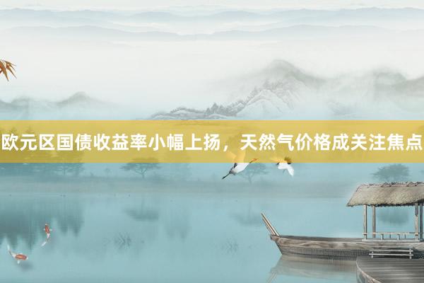 欧元区国债收益率小幅上扬，天然气价格成关注焦点