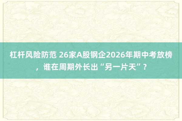 杠杆风险防范 26家A股钢企2026年期中考放榜，谁在周期外长出“另一片天”？