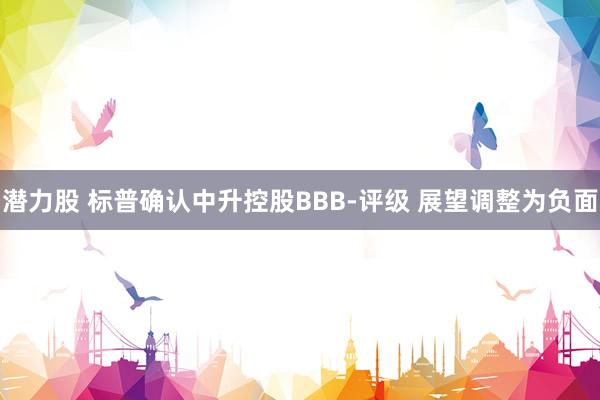 潜力股 标普确认中升控股BBB-评级 展望调整为负面