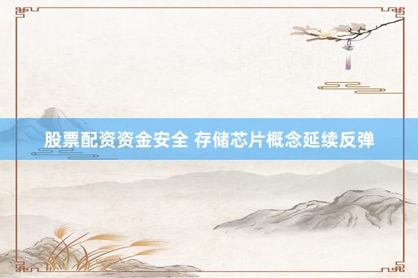 股票配资资金安全 存储芯片概念延续反弹