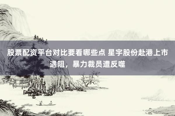 股票配资平台对比要看哪些点 星宇股份赴港上市遇阻，暴力裁员遭反噬