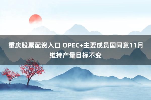 重庆股票配资入口 OPEC+主要成员国同意11月维持产量目标不变