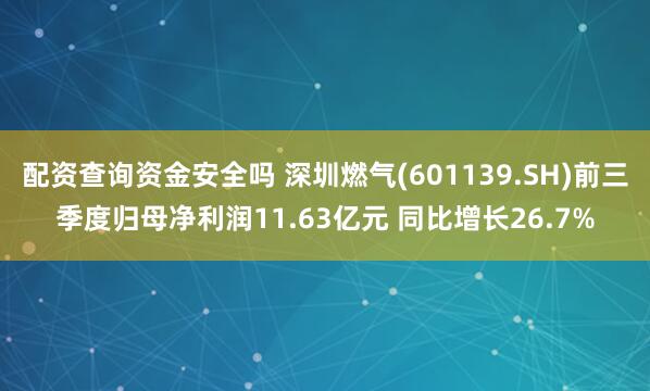 配资查询资金安全吗 深圳燃气(601139.SH)前三季度归母净利润11.63亿元 同比增长26.7%